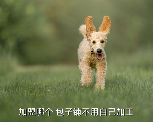 加盟哪个 包子铺不用自己加工