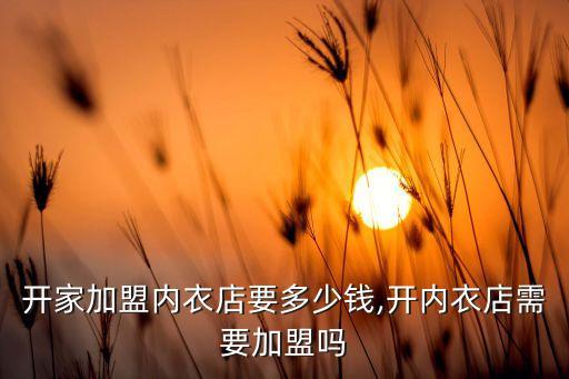开家加盟内衣店要多少钱,开内衣店需要加盟吗