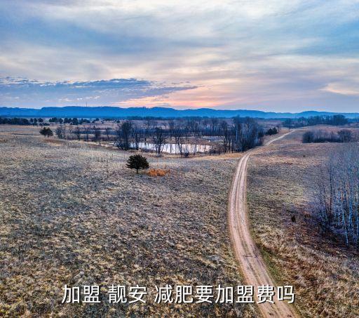 加盟 靓安 减肥要加盟费吗