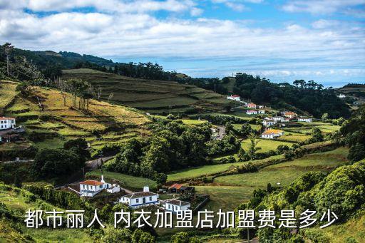都市丽人 内衣加盟店加盟费是多少