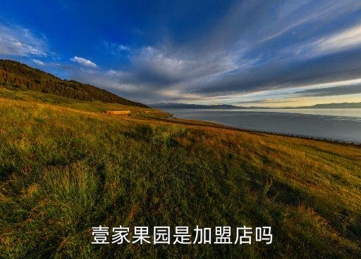 壹家壹加盟费多少,克林壹家电器清洗加盟费用1万元或更多