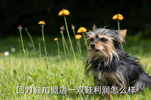  回力鞋加盟店一双鞋利润怎么样