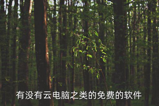 有没有云电脑之类的免费的软件