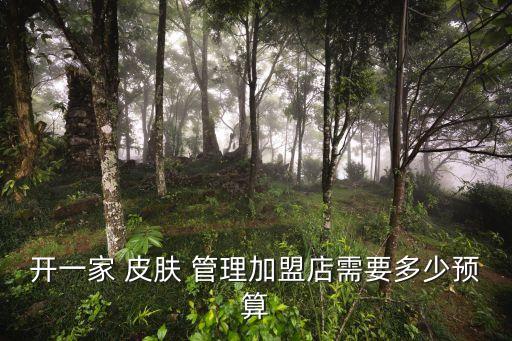 开一家 皮肤 管理加盟店需要多少预算