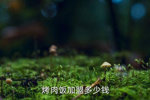  烤肉饭加盟多少钱