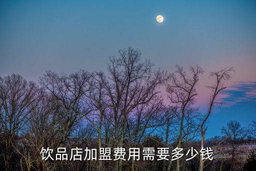 饮品店加盟费用需要多少钱