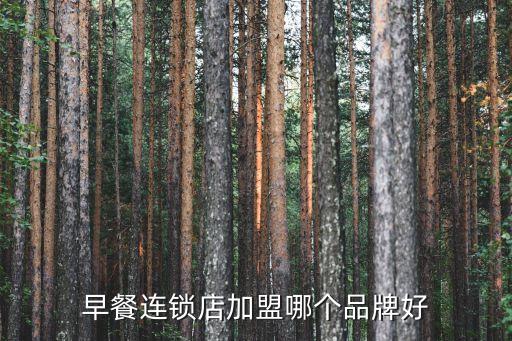 早餐连锁店加盟哪个品牌好