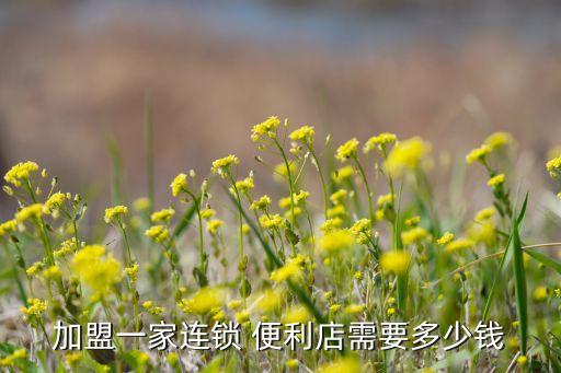 沈阳 全时便利店加盟费多少钱,24小时便利店加入需要多少钱