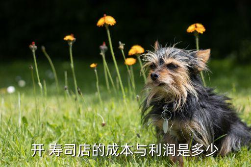 开 寿司店的成本与利润是多少