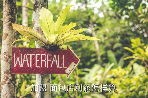加盟 面包店利润怎样算