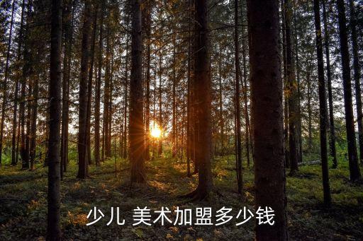 少儿 美术加盟多少钱