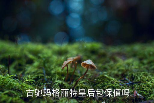 古驰包包加盟费,古驰包包具回收价值有大众款有鉴定准确