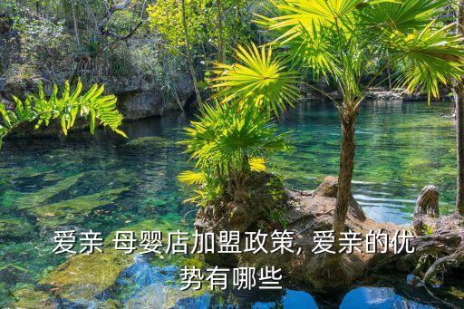 爱亲 母婴店加盟政策, 爱亲的优势有哪些