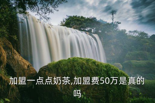 加盟一点点奶茶,加盟费50万是真的吗