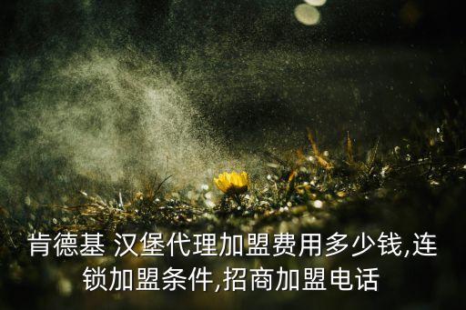 肯德基 汉堡代理加盟费用多少钱,连锁加盟条件,招商加盟电话
