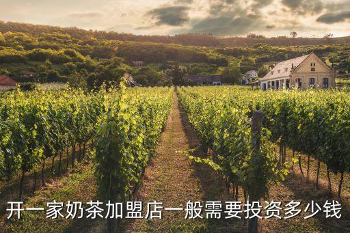 开一家奶茶加盟店一般需要投资多少钱