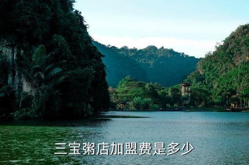 三宝粥店加盟费是多少