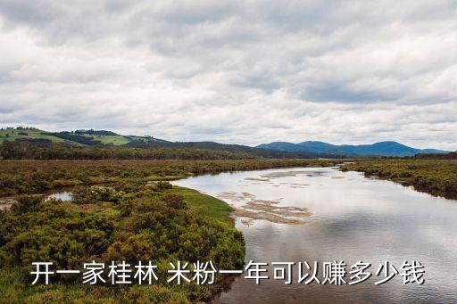 开一家桂林 米粉一年可以赚多少钱