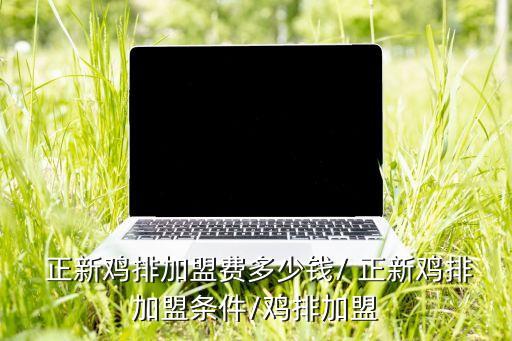  正新鸡排加盟费多少钱/ 正新鸡排加盟条件/鸡排加盟