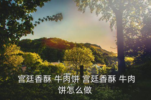  宫廷香酥 牛肉饼 宫廷香酥 牛肉饼怎么做