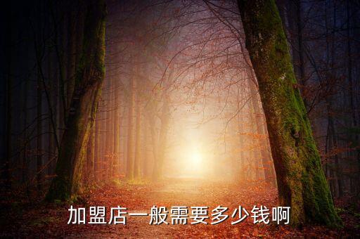 加盟店一般需要多少钱啊
