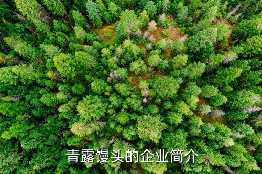 青露包子加盟费多少钱,加盟青山不是门面和市场入口