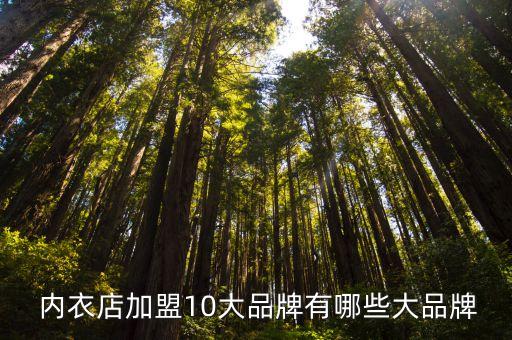  内衣店加盟10大品牌有哪些大品牌