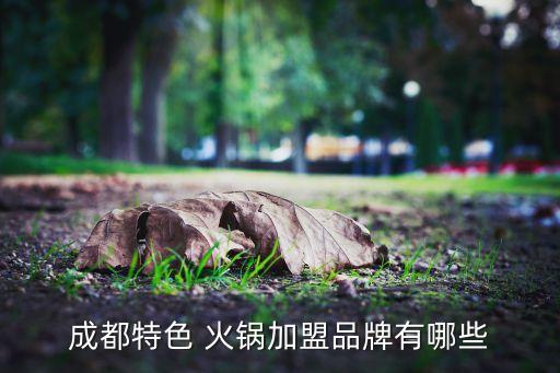 成都特色 火锅加盟品牌有哪些