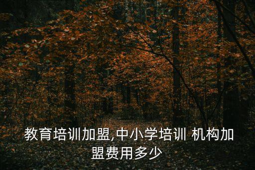 儿童教育机构加盟费,加入早教会比其他培训类型花费少教育