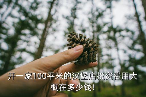 开一家100平米的汉堡店投资费用大概在多少钱!