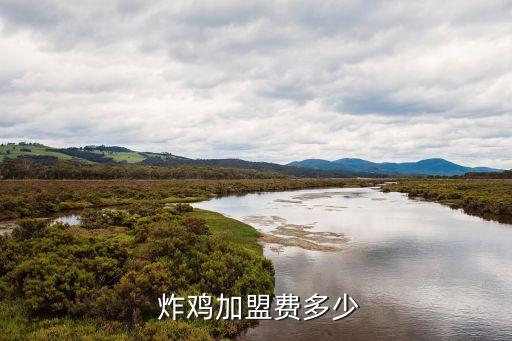  炸鸡加盟费多少