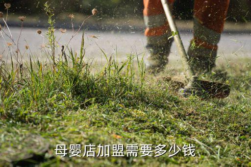 吃来吃去加盟费要多少钱,学小吃不难开火锅店一个月需要2万元
