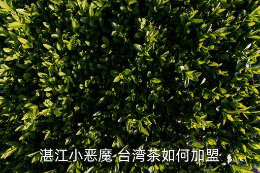湛江小恶魔 台湾茶如何加盟