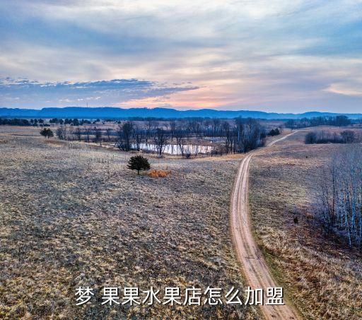 梦 果果水果店怎么加盟