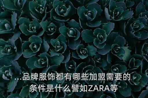 ...品牌服饰都有哪些加盟需要的 条件是什么譬如ZARA等