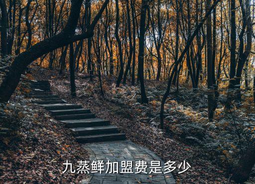 九蒸鲜加盟费是多少