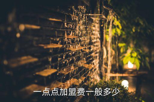 一点点加盟费一般多少