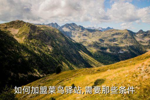 如何加盟菜鸟驿站,需要那些条件
