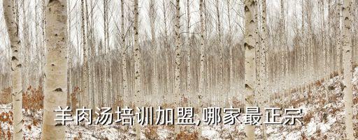羊肉汤培训加盟,哪家最正宗