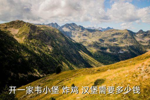 开一家韦小堡 炸鸡 汉堡需要多少钱
