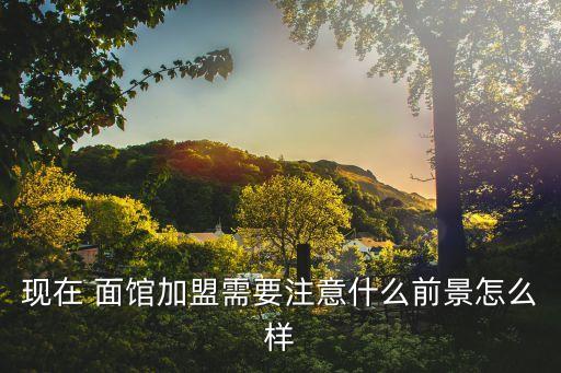 现在 面馆加盟需要注意什么前景怎么样