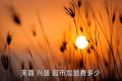 芙蓉 兴盛 超市加盟费多少