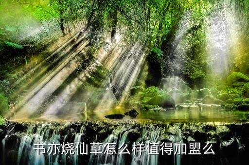 第1佳加盟费,没有品牌费和高额加盟费你可加盟什么品牌?