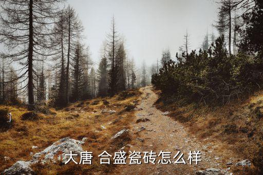 大唐合盛加盟费用多少钱,大唐烤肉加盟电话费用