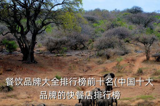 米食先生湖南加盟费,食米先生快餐加盟费多少钱
