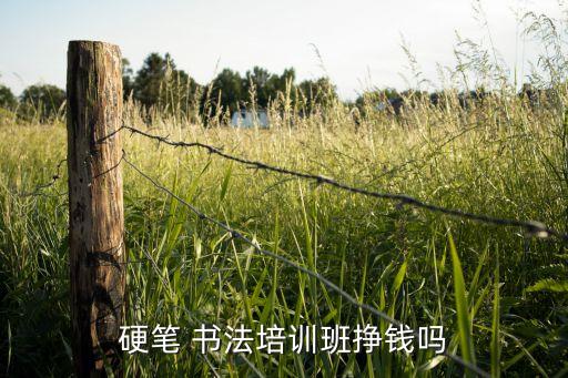 金华少儿书法加盟费多少