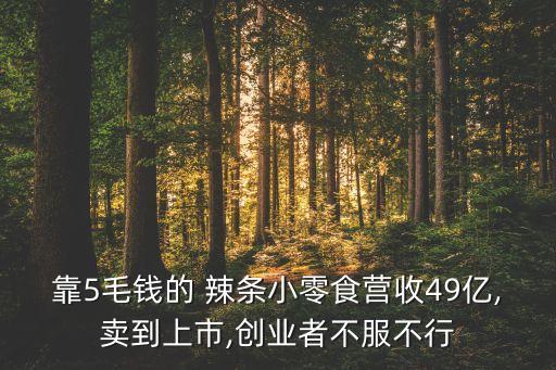 河北家制辣条加盟费