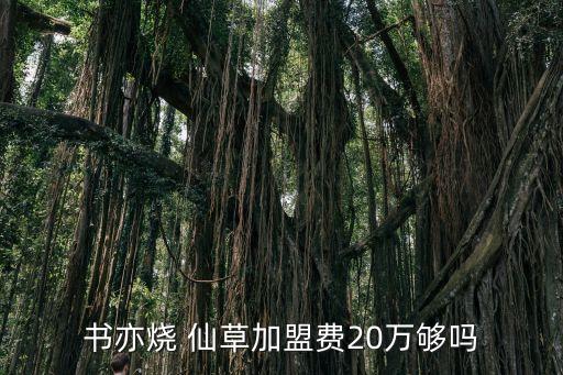 书亦烧 仙草加盟费20万够吗