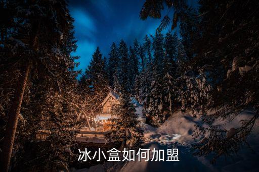 冰小盒如何加盟