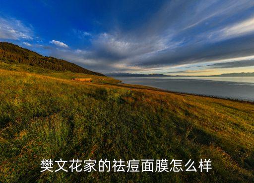 樊文花家的祛痘面膜怎么样